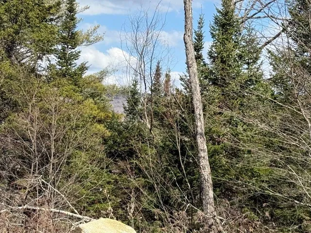 $285,000 | 390 Highway 118, Canaan, NH 03741