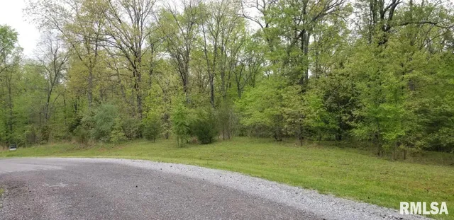 a view of a field with a trees in the background