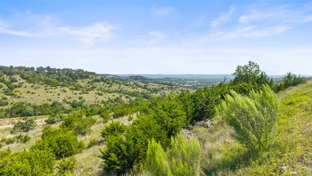 a view of a field of grass and trees