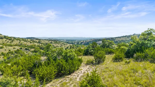 a view of a green field with lots of bushes