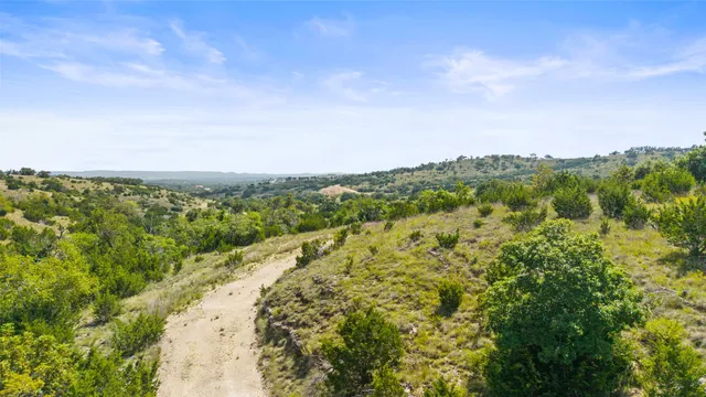 a view of a grassy field with trees in the background