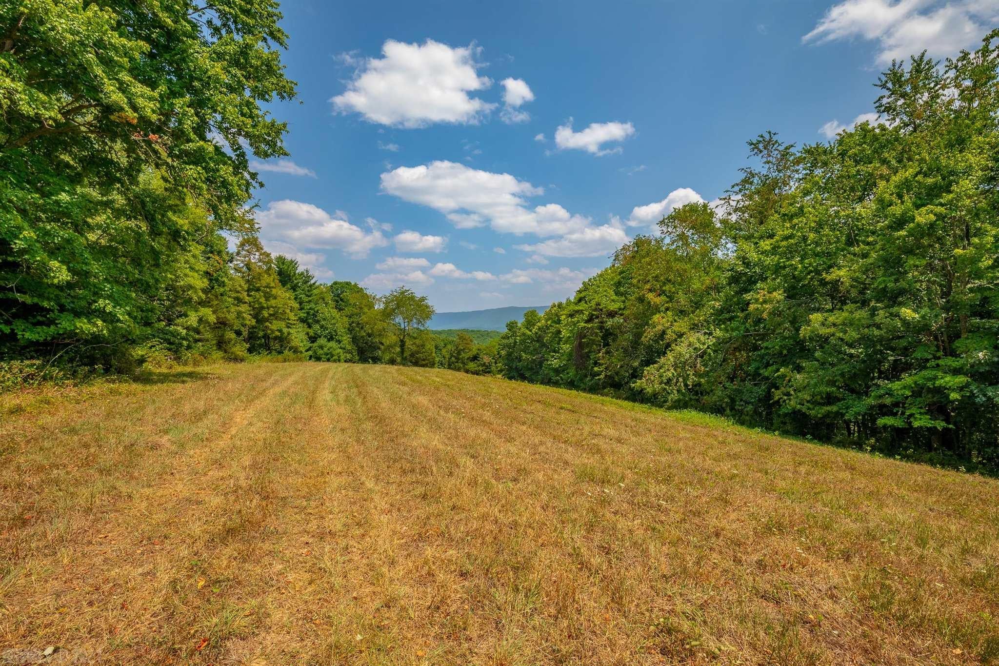 218 Byrnes Chapel Road Bland, VA 24315 - Photo 66 of 83 Gallery Image 66