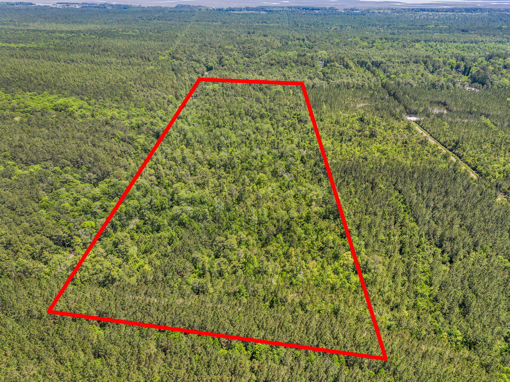 0 Deas Hill Road McClellanville, SC 29458 - Photo 19 of 20