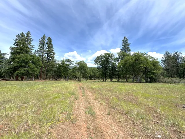 $290,000 | 29093 Day Road, McArthur, CA 96056