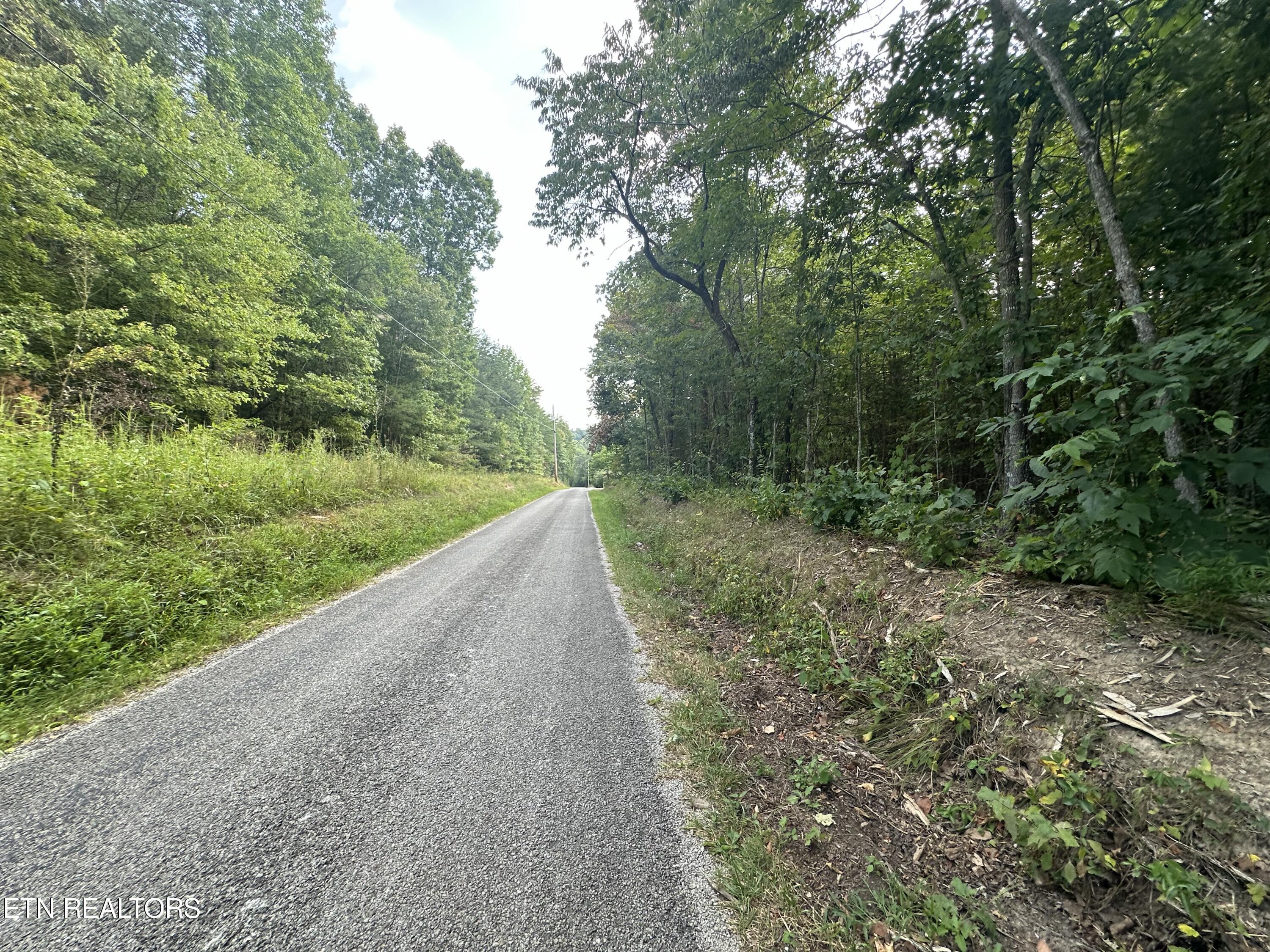 Jr Cox Road Deer Lodge, TN 37726 - Photo 15 of 19 IMG_3513