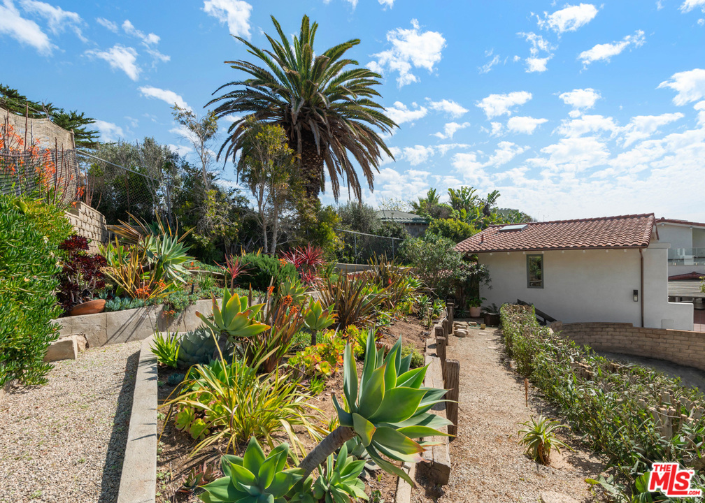 32054 Pacific Coast Highway Malibu, CA 90265 - Photo 47 of 48 a picture of plants