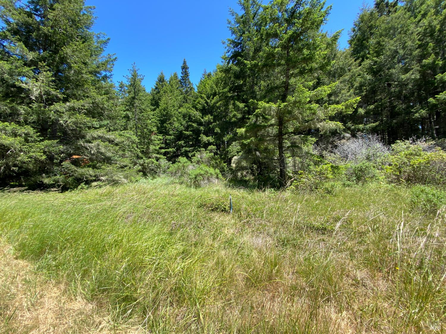 36734 Timber Ridge Road The Sea Ranch, CA 95497 - Photo 1 of 8 Gallery Image 1