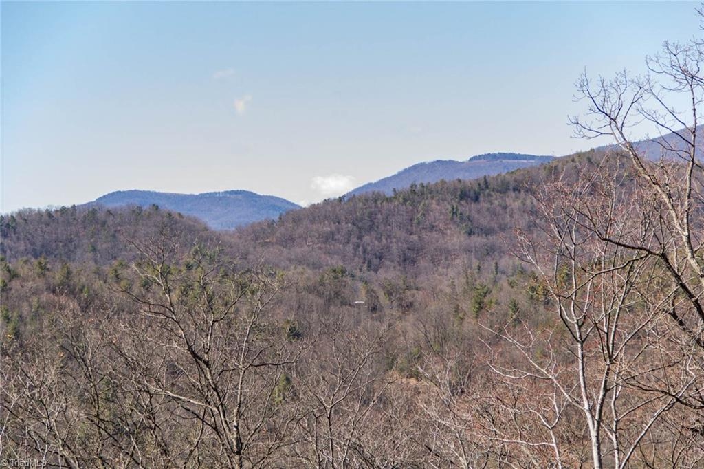 308 Warren Way Purlear, NC 28665 - Photo 2 of 29 View of Blue Ridge Pkwy from Master Bedroom Covered Porch. Elk Mountain Overlook is on the left and Tompkins Knob Overlook is on the right.