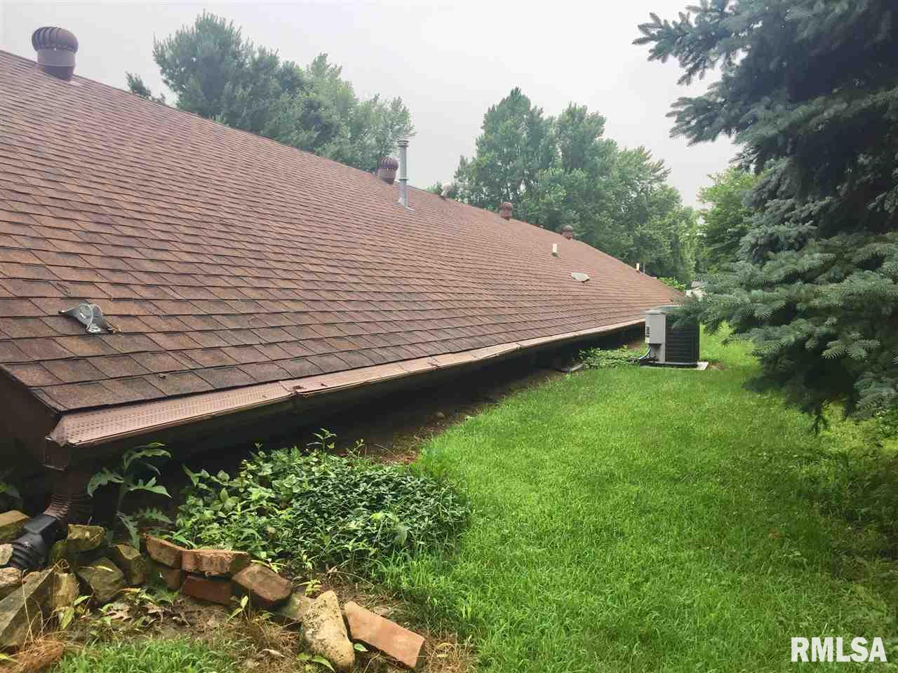 702 South Bluff Street Albany, IL 61230 - Photo 3 of 22