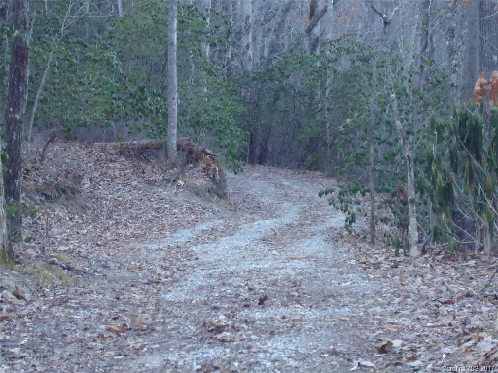 8353 Uplands Road Brevard, NC 28712 - Photo 8 of 16 Gallery Image 8