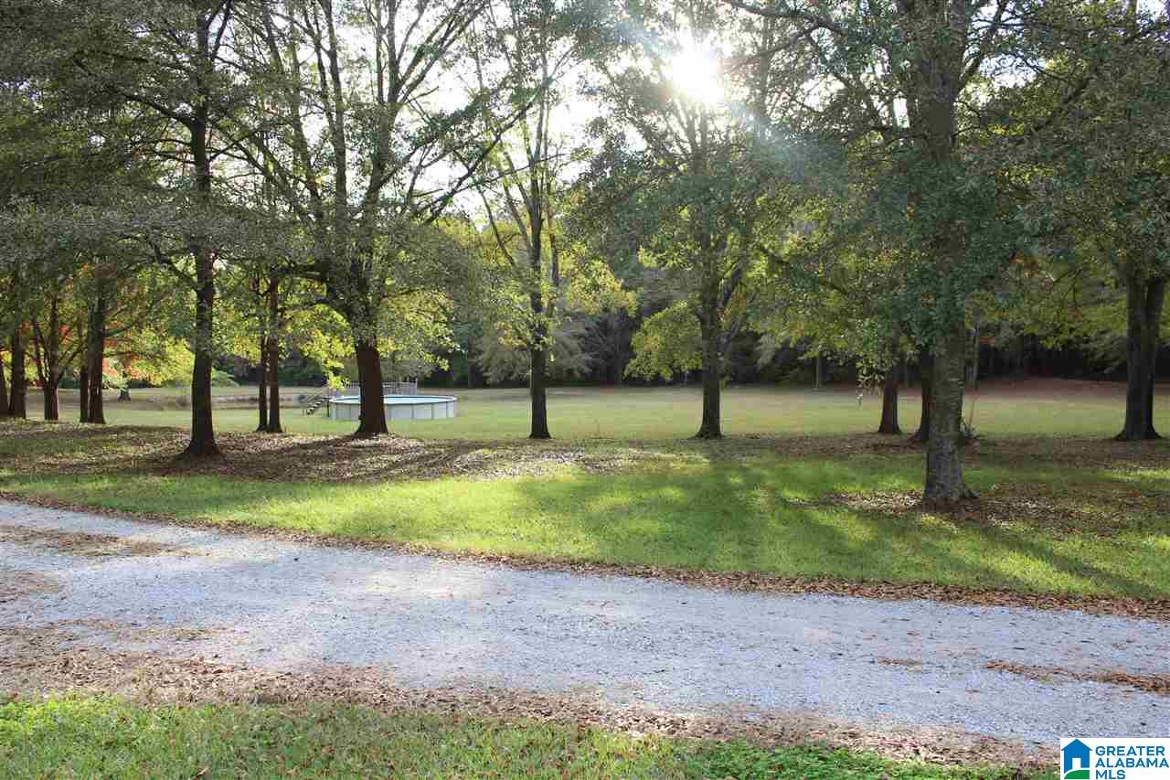 299 Singleton Road Anniston, AL 36207 - Photo 20 of 25 Gallery Image 20