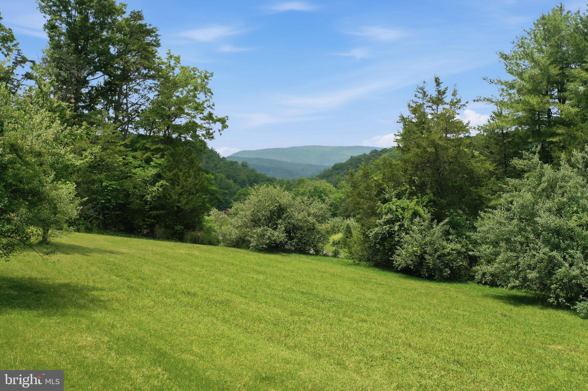 3704 Cedar Creek Road Star Tannery, VA 22654 - Photo 43 of 46