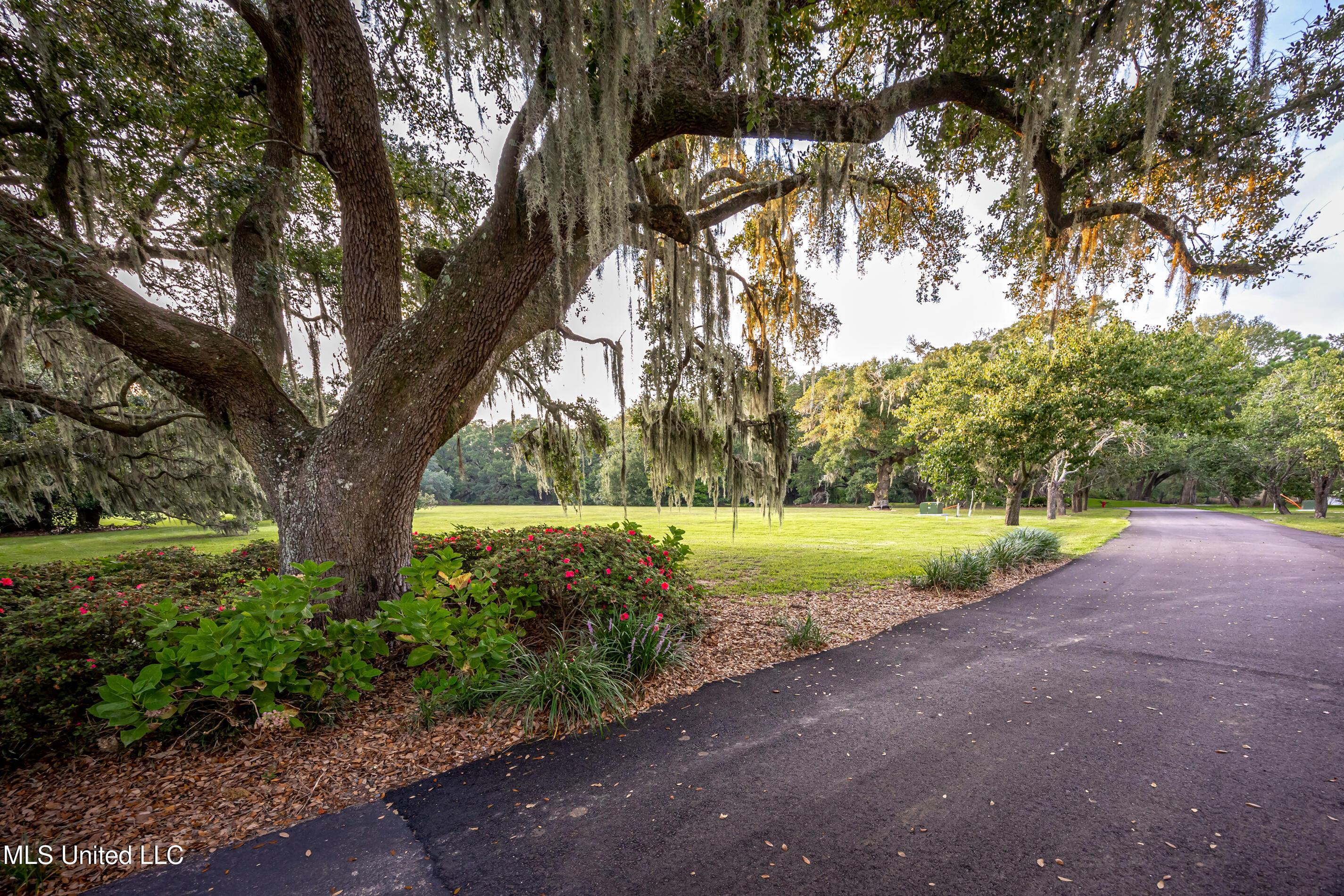 9783 Pointe Aux Chenes Road Ocean Springs, MS 39564 - Photo 11 of 189 5F5A5661
