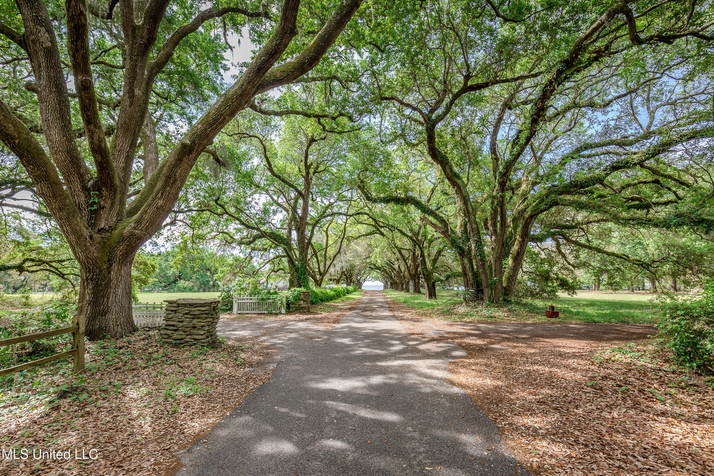 9783 Pointe Aux Chenes Road Ocean Springs, MS 39564 - Photo 168 of 189 IMG_7296
