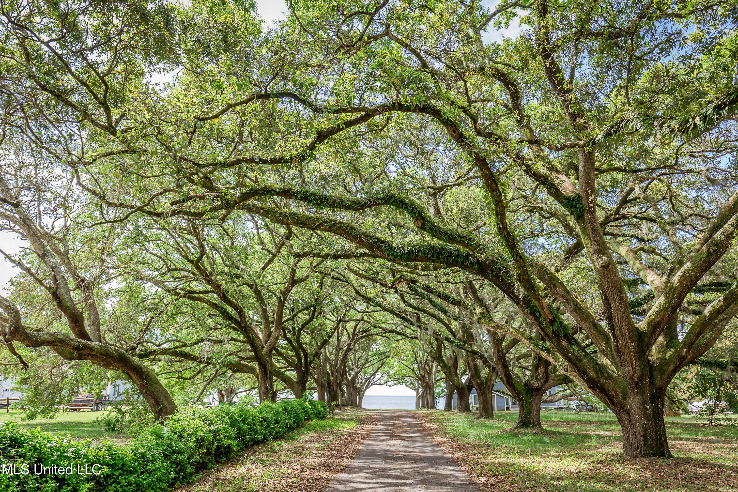 9783 Pointe Aux Chenes Road Ocean Springs, MS 39564 - Photo 169 of 189 IMG_7317
