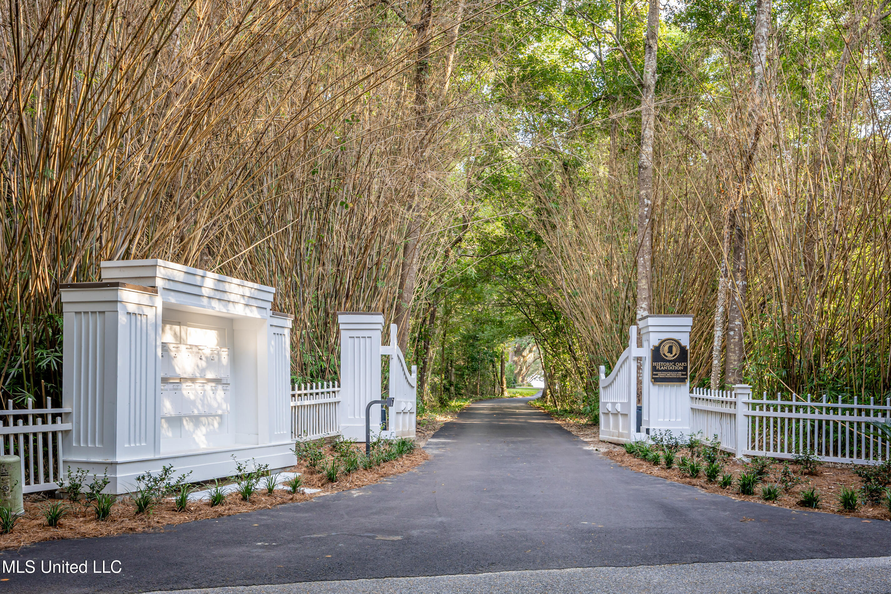 9783 Pointe Aux Chenes Road Ocean Springs, MS 39564 - Photo 185 of 189 5F5A5142-2