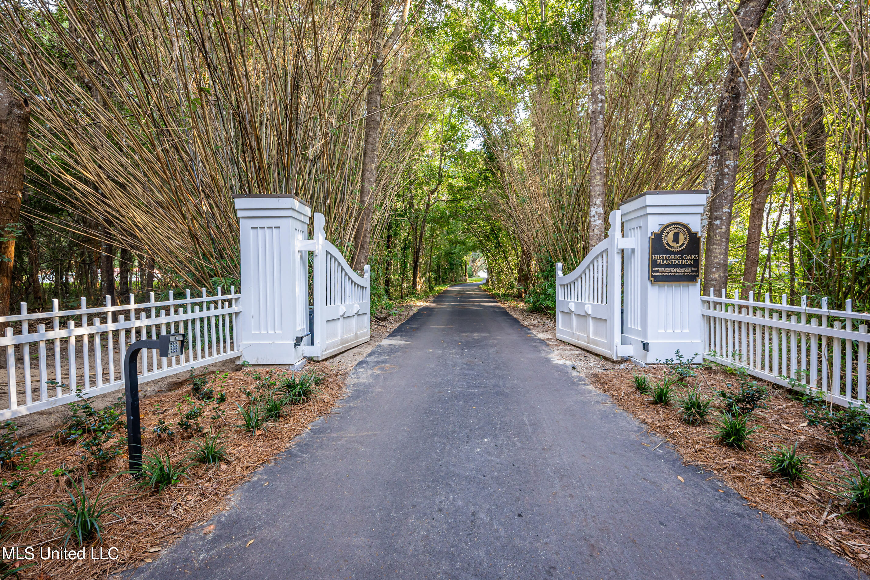 9783 Pointe Aux Chenes Road Ocean Springs, MS 39564 - Photo 186 of 189 5F5A5133-2