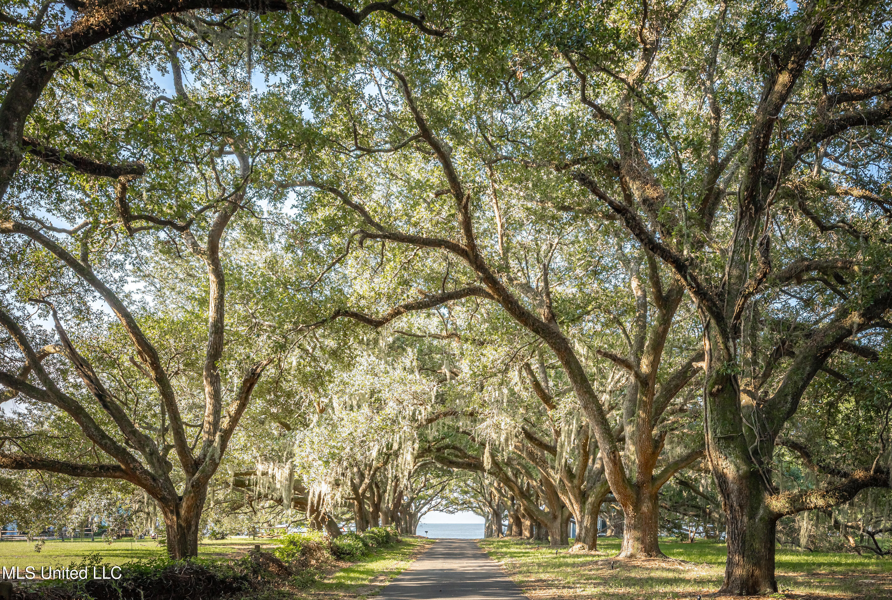 9783 Pointe Aux Chenes Road Ocean Springs, MS 39564 - Photo 187 of 189 IMG_7323