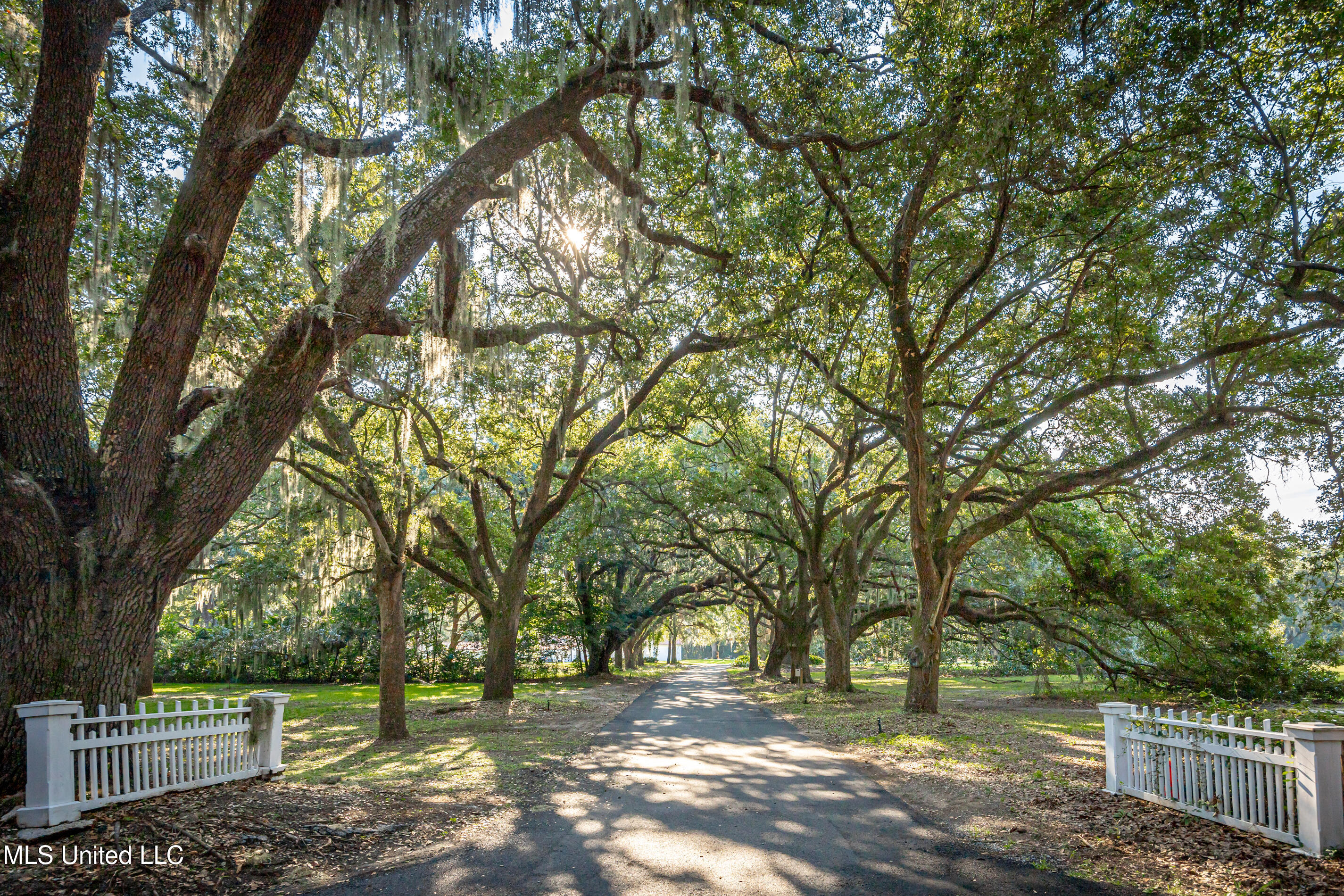 9783 Pointe Aux Chenes Road Ocean Springs, MS 39564 - Photo 188 of 189 IMG_7302