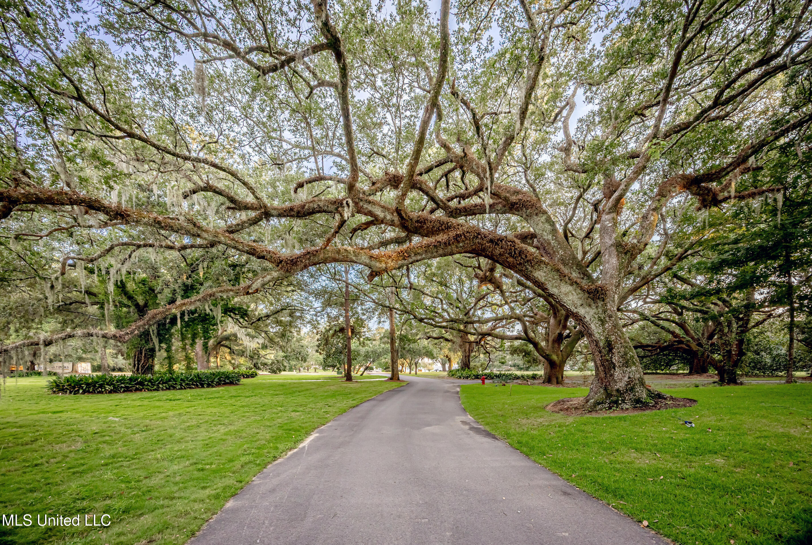 9783 Pointe Aux Chenes Road Ocean Springs, MS 39564 - Photo 189 of 189 5F5A5551
