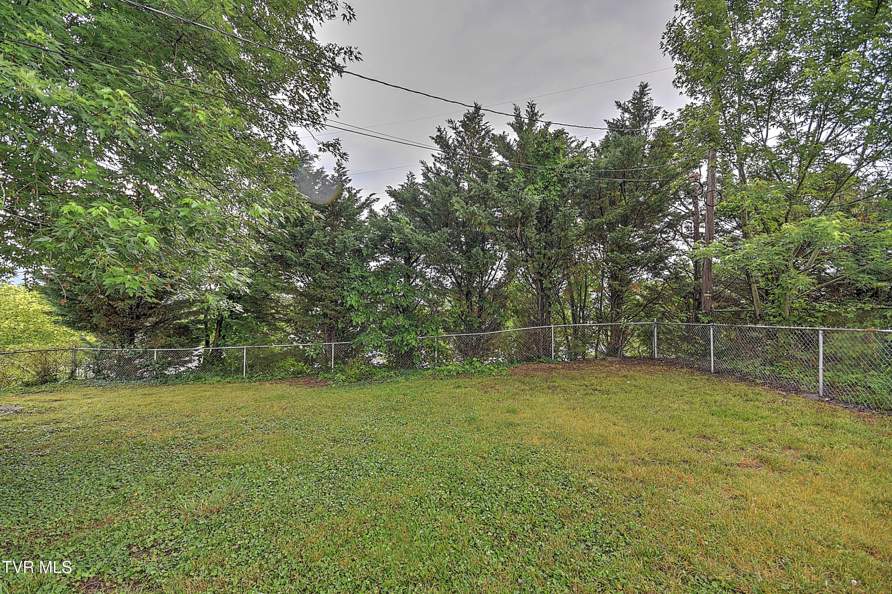 818 Birch Street Kingsport, TN 37664 - Photo 37 of 37 818 Birch BJ-37