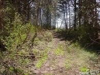 0 Nelson Road Lenox, NY 13032 - Photo 2 of 5