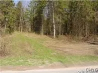 $42,500 | 0 Nelson Road, Lenox, NY 13032