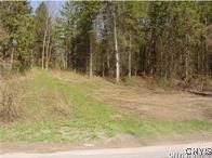 0 Nelson Road Lenox, NY 13032 - Photo 3 of 5