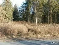 $42,500 | 0 Nelson Road, Lenox, NY 13032