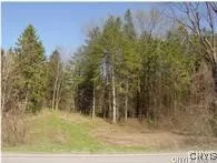 $42,500 | 0 Nelson Road, Lenox, NY 13032