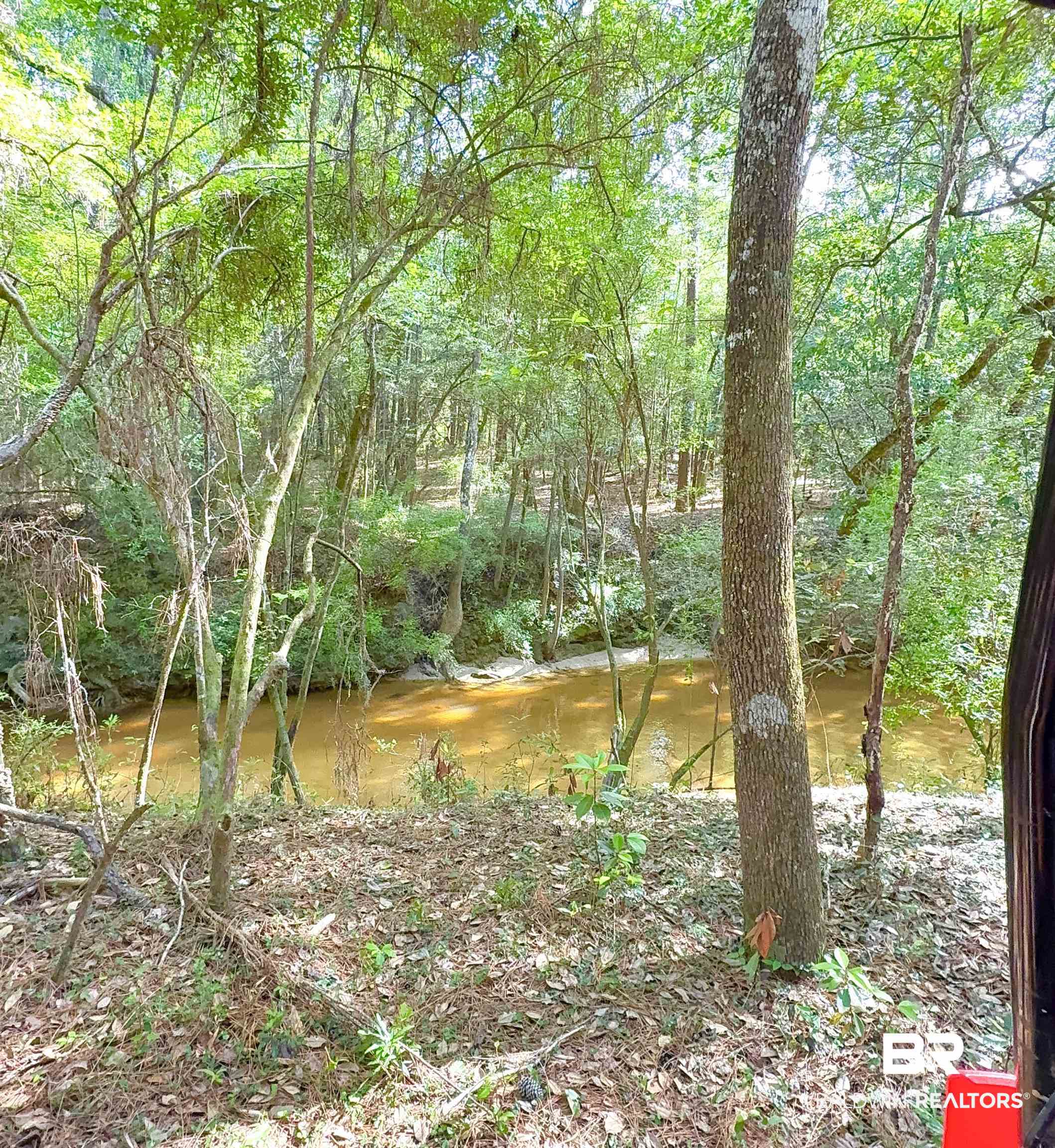 1 Mason Ferry Road Citronelle, AL 36522 - Photo 18 of 40 Wooded property featuring a natural stream, mature trees, and natural ground cover