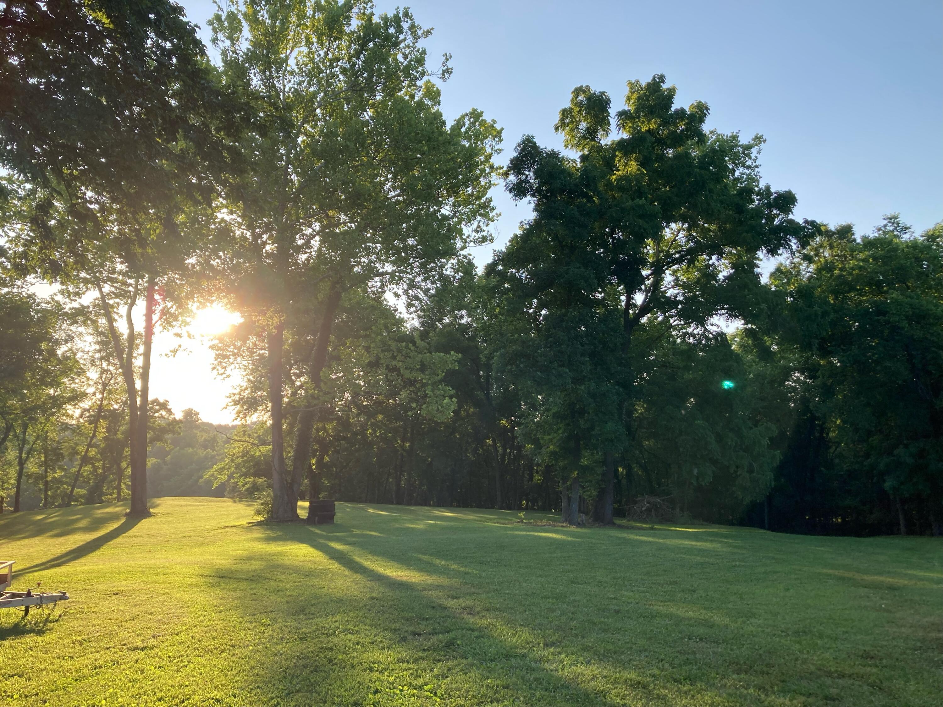 264 Canopy Lane Shell Knob, MO 65747 - Photo 1 of 1 IMG_4652