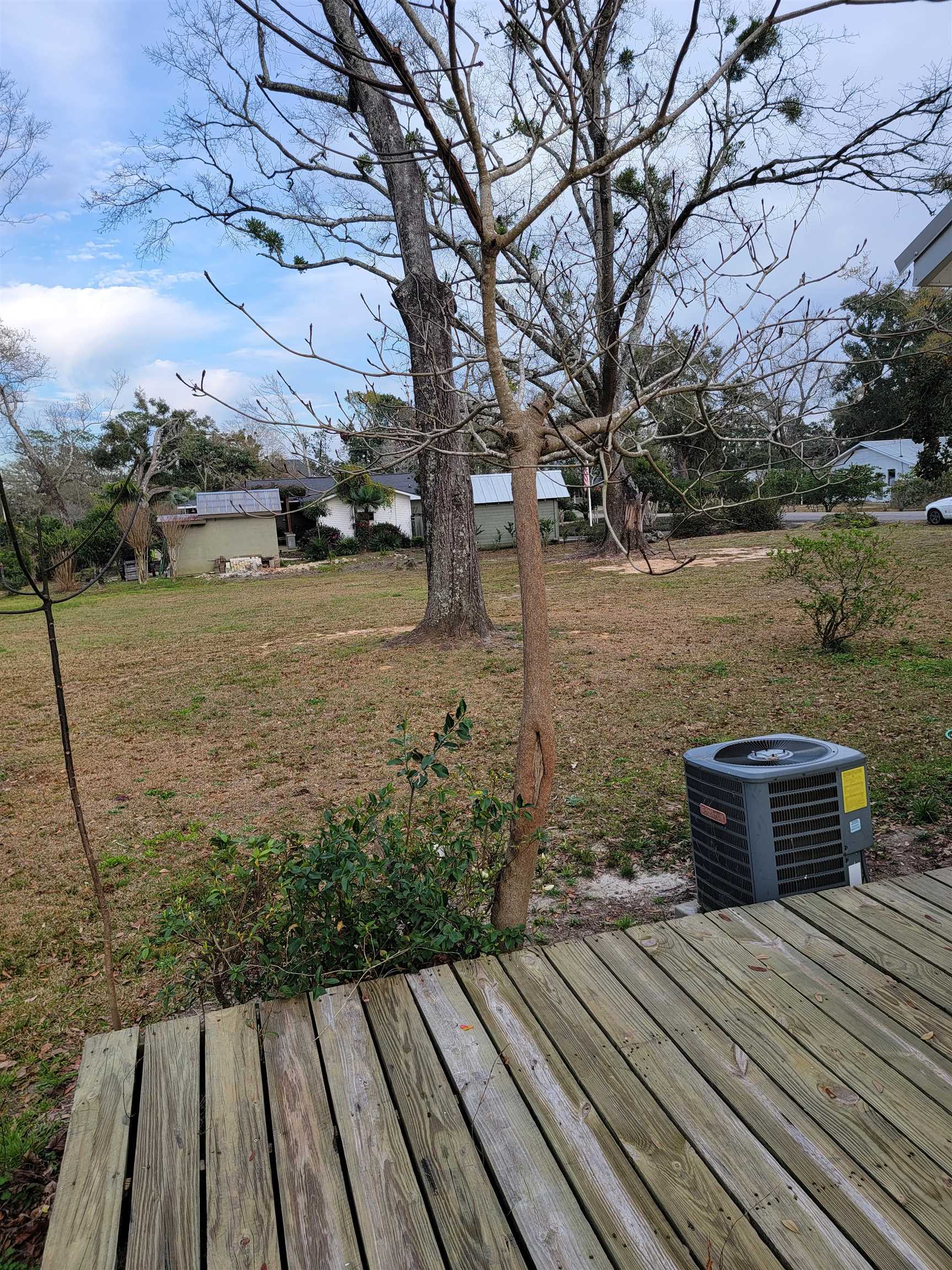 410 West Persimmon Avenue Foley, AL 36535 - Photo 8 of 23