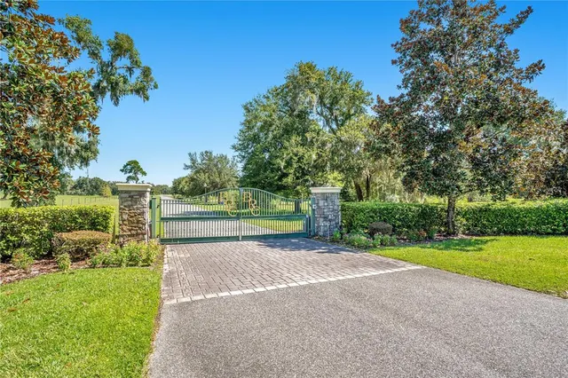 a view of a park with large trees and a small yard