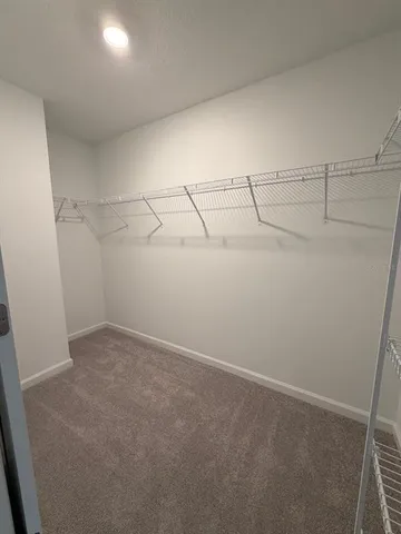 a view of a room with racks on the wall