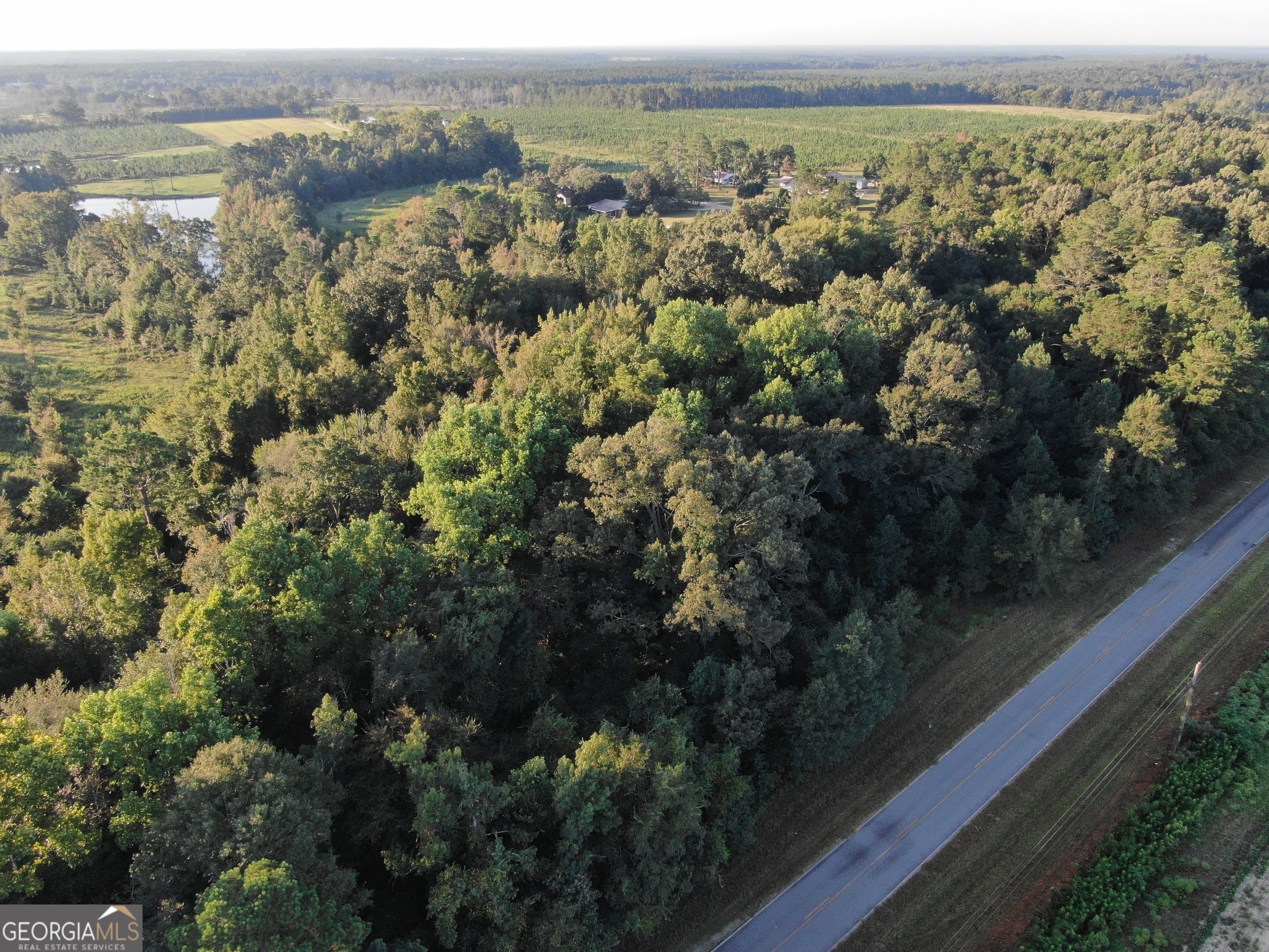 an aerial view of residential houses with outdoor space and trees