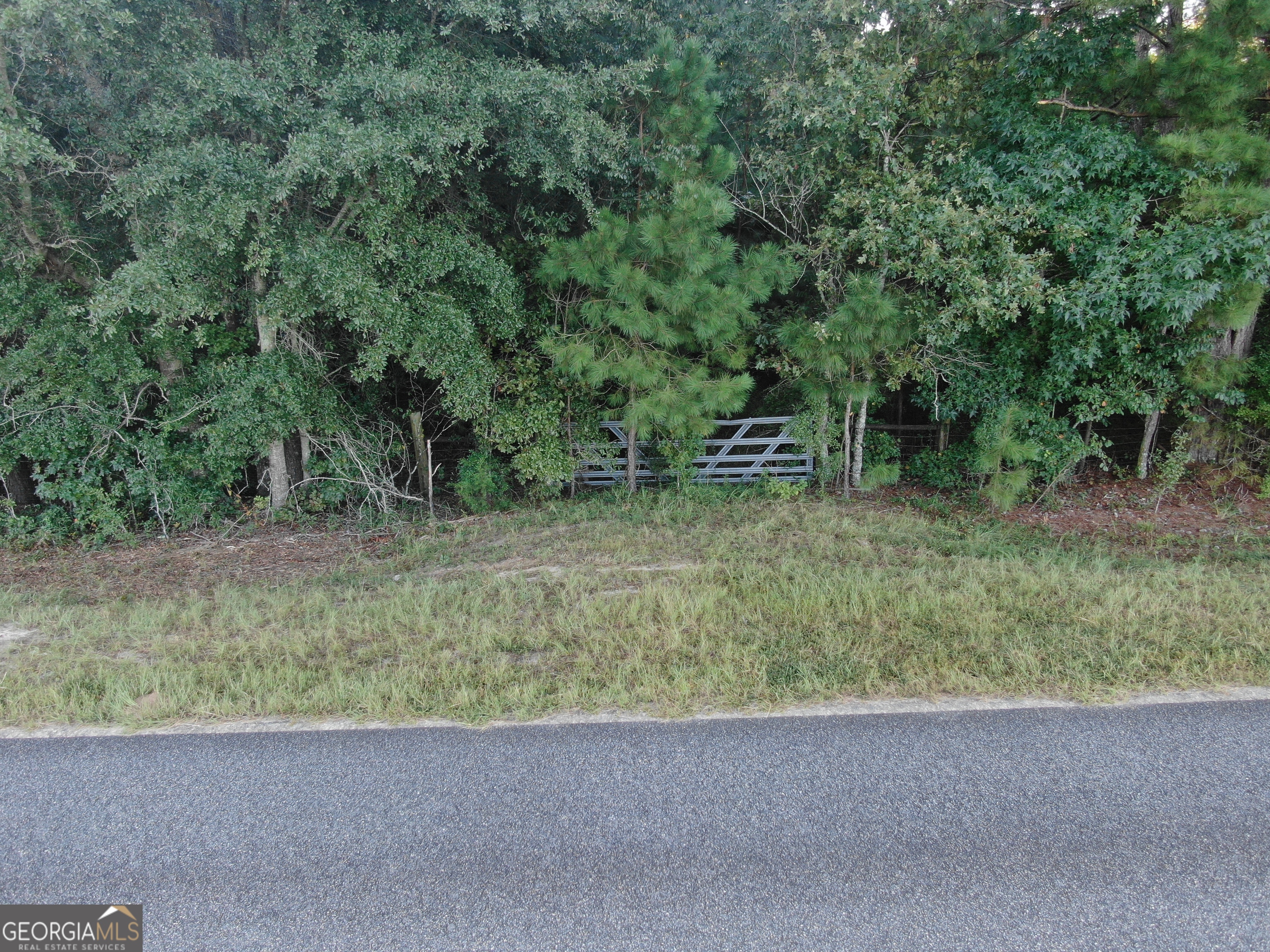 0 Roddy Burnham Road Eastman, GA 31023 - Photo 2 of 5 a view of a forest with a tree
