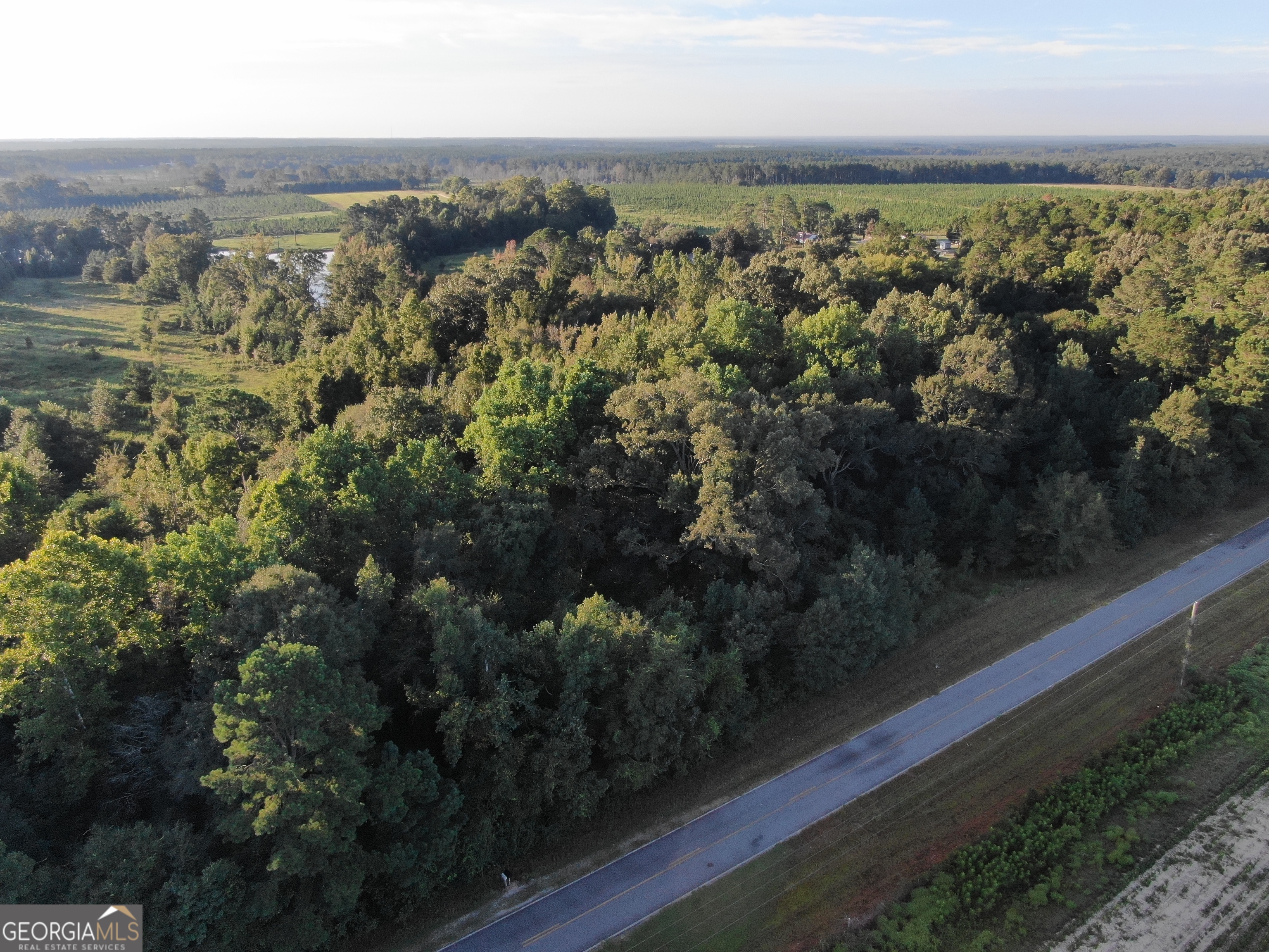 0 Roddy Burnham Road Eastman, GA 31023 - Photo 3 of 5 a view of city and mountain
