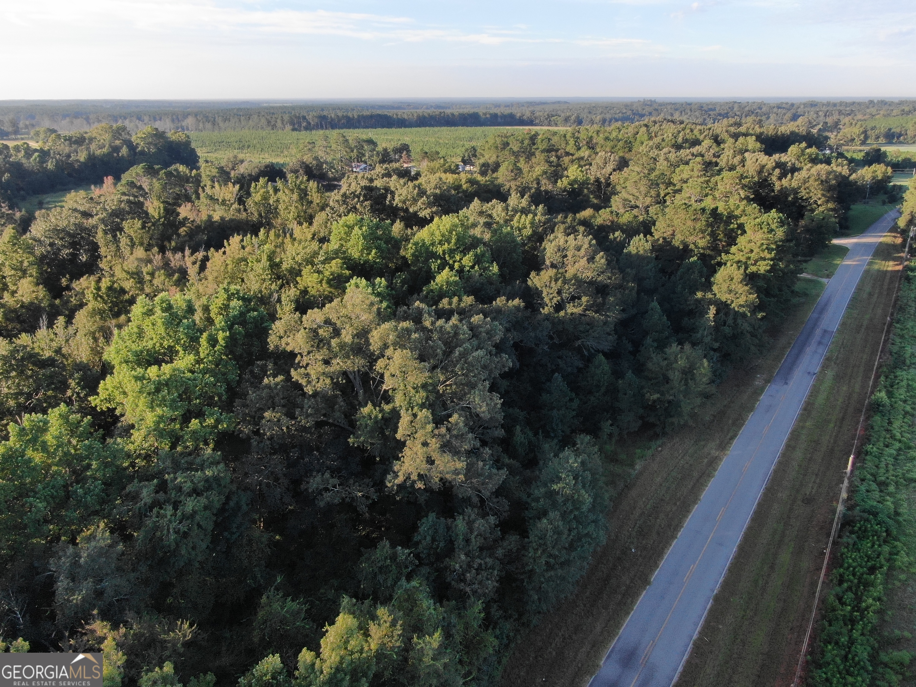 0 Roddy Burnham Road Eastman, GA 31023 - Photo 4 of 5