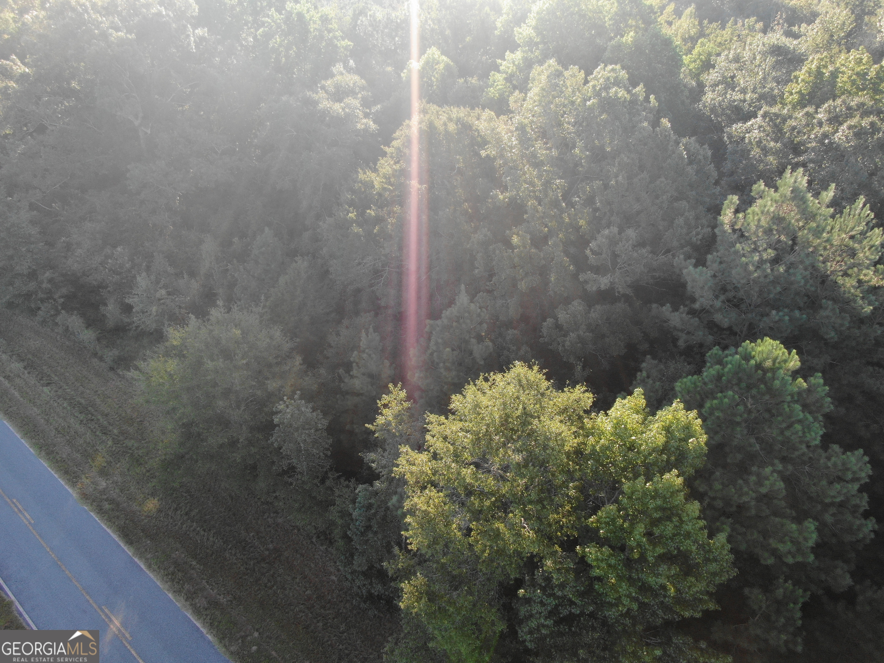 0 Roddy Burnham Road Eastman, GA 31023 - Photo 5 of 5