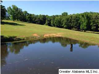 1993 Fulton Gap Road Sylacauga, AL 35150 - Photo 1 of 1