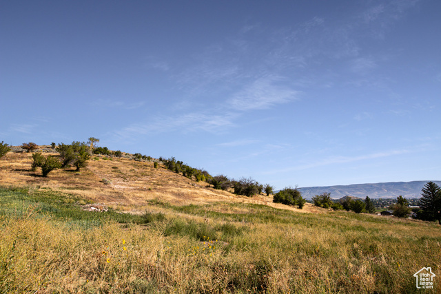 944 West Wards Lane, Unit 3 Midway, UT 84049 - Photo 24 of 59 Very Gradual Slope of the lot in the front