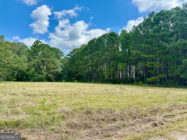 a backyard of a house with lots of green space