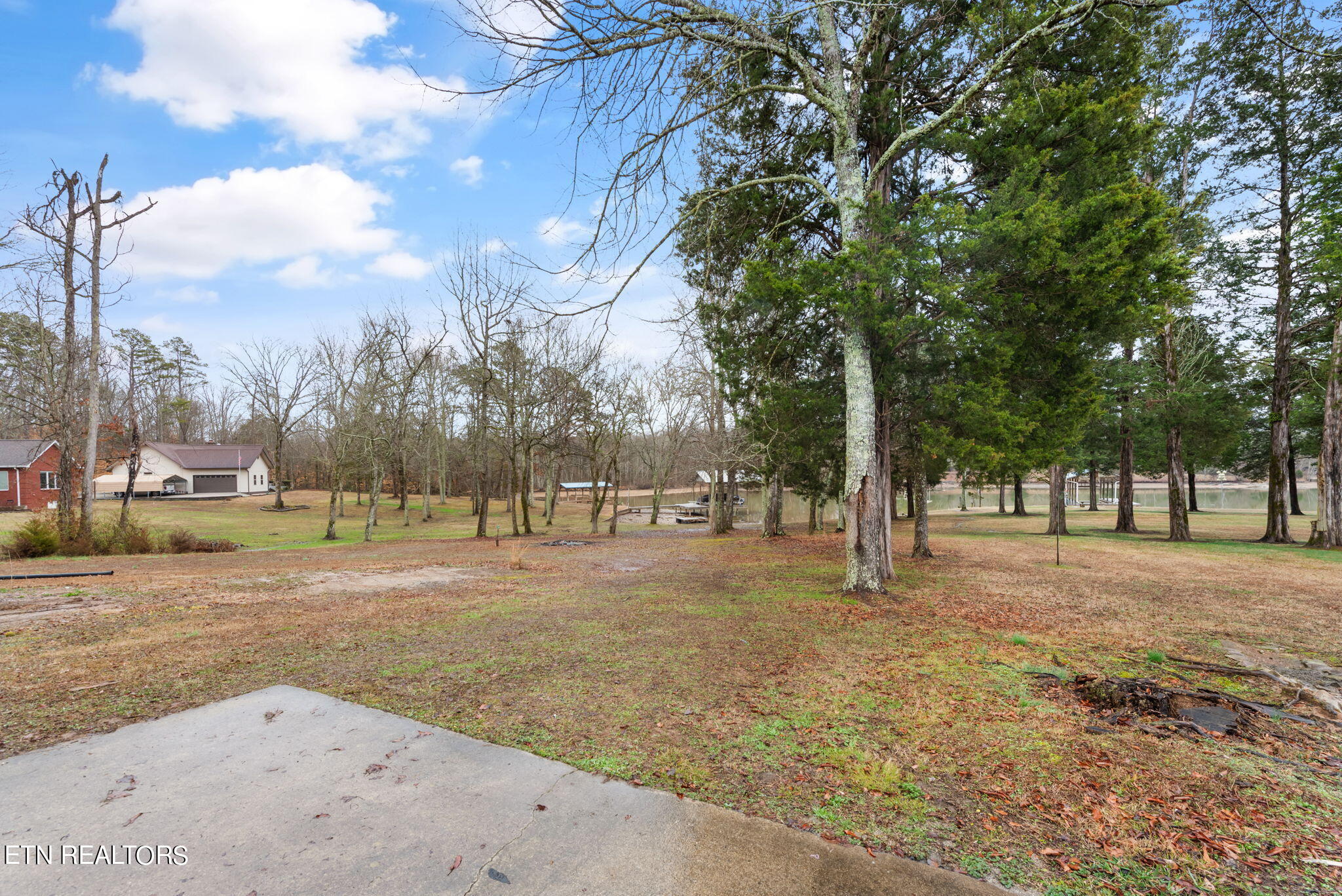 133 University Road Kingston, TN 37763 - Photo 52 of 58 back yard