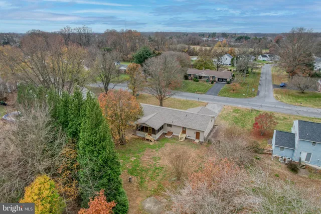 a white house that has a tree in front of it
