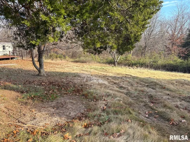 a view of dirt yard with a large tree