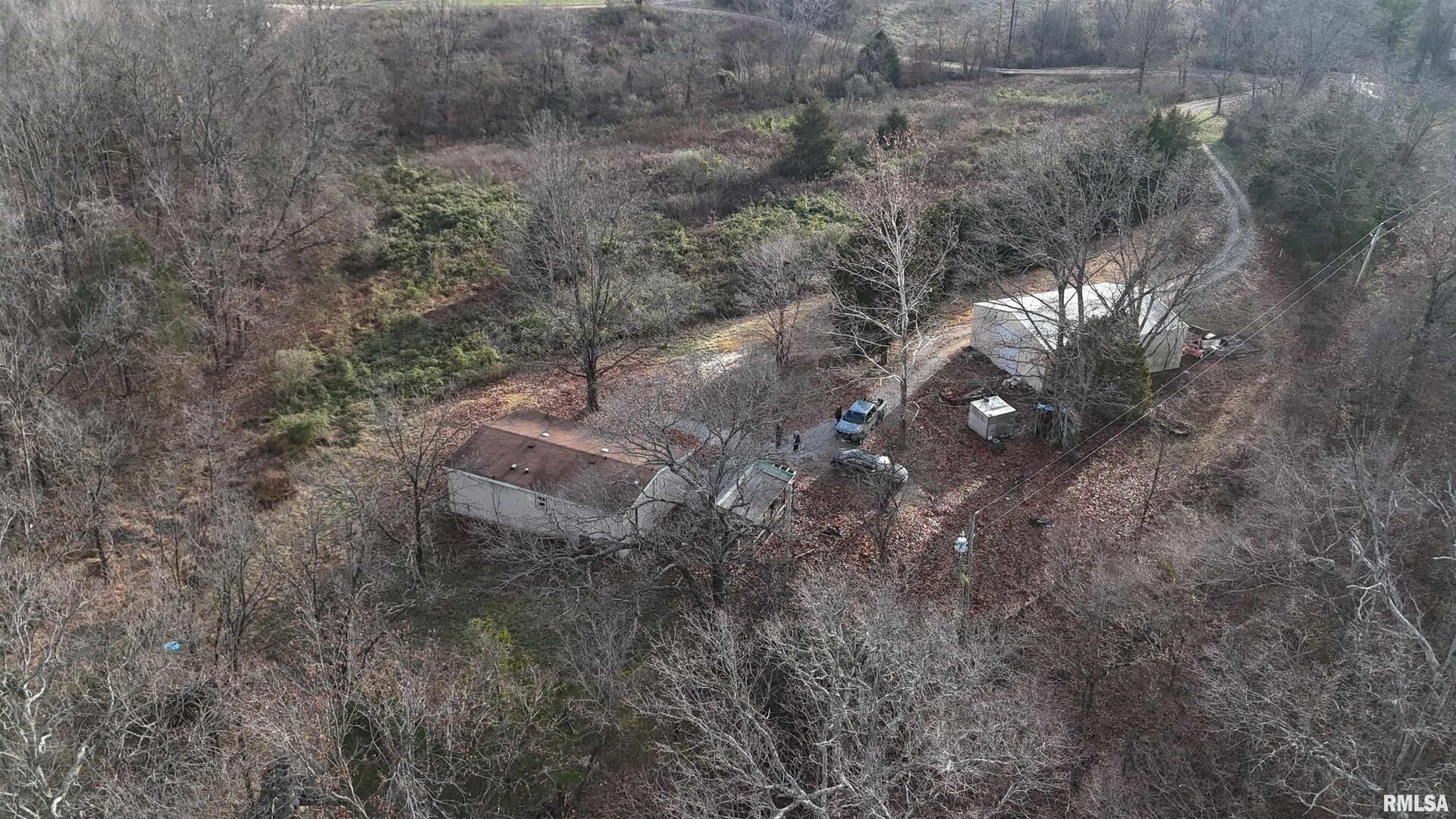 535 Cass Lane Cobden, IL 62920 - Photo 15 of 21 a picture of trees