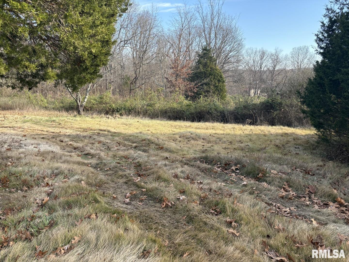 535 Cass Lane Cobden, IL 62920 - Photo 17 of 21 a view of a yard with a tree