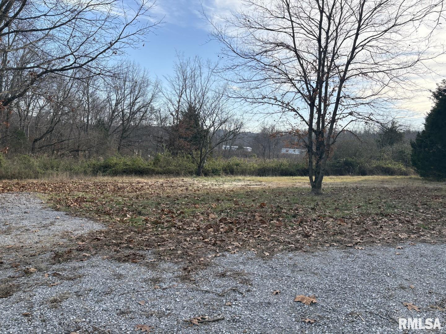 535 Cass Lane Cobden, IL 62920 - Photo 18 of 21 a view of a yard with a tree