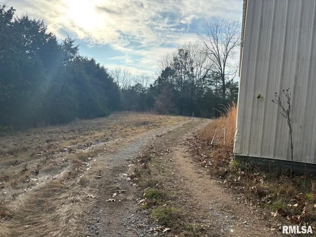 a view of a yard with trees